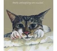 Funny Naughty Tabby Cat BLANK birthday greeting card - Contemplating Mischief