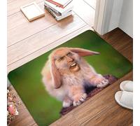 Funny Nicolas Cage Rabbit Meme Doormat Non-Slip Bath Kitchen Mat Toilet Door Floor Entrance Carpet Rug-24x36 inch