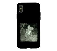 Funny Night Trail Wild Camera Koala Case for iPhone X/XS