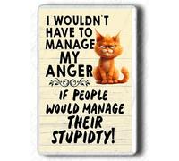 Funny Novelty Cat Fridge Magnet, Manage my Anger Novelty Funny Angry Anger Management, Hilarious Gift Ideas, Humour Gift