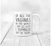 Funny Novelty Coffee Mug of All The Vaginas in The World I Am So Glad Retirement Cup for Coworker Men Women Cup Tea Office Mug. 11 Oz