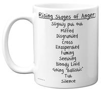Funny Novelty Gifts - Stages of Anger - Birthday Mug Present for Husband Wife Boyfriend Girfriend Colleague Friend Auntie Uncle Sister Brother, 11oz Ceramic Dishwasher Safe Coffee Mugs Cup