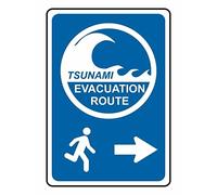 Funny Novelty Metal Sign Retro Wall Decor Tsunami Evacuation Route Sign Aluminum Tin Sign Tsunami Sign Warning Sign Metal Beach Sign Ourdoor 14x20cm