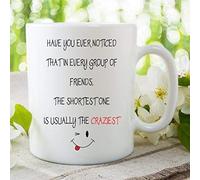 Funny Novelty Mug Shortest Short Friend Always The Craziest Ceramic Mug Joke Coffee Tea Rude Funny Work Office Cup Secret Santa Gift Birthday Valentine's Present WSDMUG24