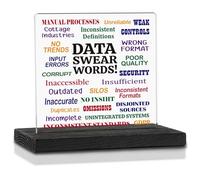 Funny Office Gifts for Data Analyst, Humorous Data Analysis Gifts for Data Nerd, Big Data Scientist, Swear Words Work Office Gift for Colleague, Funny Humor Signs Desk DecorationVAK345