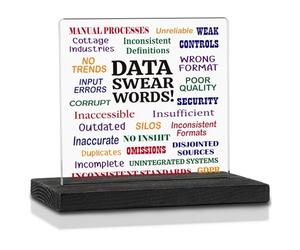 Funny Office Gifts for Data Analyst, Humorous Data Analysis Gifts for Data Nerd, Big Data Scientist, Swear Words Work Office Gift for Colleague, Funny Humor Signs Desk DecorationVAK345