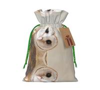 Funny Owl Christmas Drawstring Sack Gift Bag, Lightweight And Cute In Design