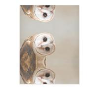 Funny Owl Crystal Sticker, 3D Stereoscopic Effect, Pattern Does Not Fall Off When Exposed to Water