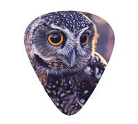 Funny Owl outdoors Print Guitar Picks 12-Pack - Assorted Thickness Picks (0.46mm, 0.71mm, 0.96mm) with Storage Box & Assorted Unique Design for Acoustic, Electric, Bass, and Ukulele Players