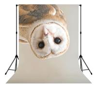 Funny Owl Print Photo Studio Background 5x7ft Soft Photo Backdrop Curtain For Studio Content Creator Equipment