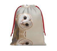 Funny Owl Ultra Soft Velvet Gift Bag, Comfortable To The Touch, Reusable
