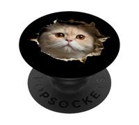 Funny Persian Cat Peeking Hole Humor Design For Cat Moms Dad PopSockets Adhesive PopGrip