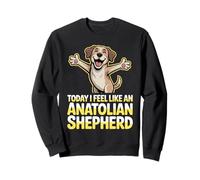 Funny Pet Dog Breed Today I feel like an Anatolian Shepherd Sweatshirt