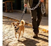 Funny Pet Leads for Dogs, Dog Lead Chain with Collar, Black_180 | Giant funny dog lead chain, plastic dog chain in chain look, ideal as a photo prop for small dogs/cats
