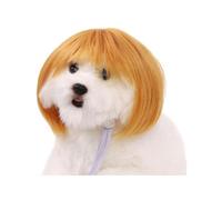 Funny Pet Wig Cute Bob Cut Afro Curly Designed For Cats Dogs | Soft synthetic pet wig with adjustable straps, perfect for parties and photoshoots Golden