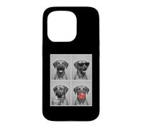 funny photo booth meme Rhodesian Ridgeback dog Case for iPhone 15 Pro