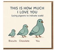 Funny Pigeons Love Card - This Is How Much I Love You (Using Pigeons to Indicate Scale) - Cute Anniversary/Valentine's Card for Partner, Boyfriend or Girlfriend