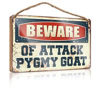 Funny Plaques for Men Beware of Attack Pygmy Goat Wooden Sign Kitchen Signs Wall Decor Porch Decorations Outdoor (Size : 20X30CM)