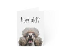 Funny Poodle Birthday Card - How Old? - 6 x 8 Inch - Eco-Friendly - Made in UK