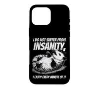 Funny Possum Insanity Quote Vintage Sarcastic Animal Humor Case for iPhone 16 Pro Max