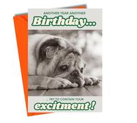 Funny Pug Birthday Card For Dog Lovers Men Women Teenagers Grumpy Getting Older Joke JBS32