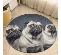Funny Pug Dog Area Rug Washable Round Rug Carpet Soft Non-Slip TPR Bottom Door Mat Low Pile Waterproof Floor Carpet Print Mat Decor for Bedroom Living Room Bathroom 60 * 60cm
