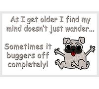 Funny Pug Dog Fridge Magnet Gift - As I get Older...