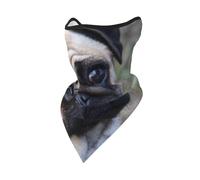 Funny Pug Dog Look At You Windproof Mask,Neck Gaiter Winter Motorcycle Face Cover