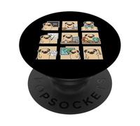 Funny Pug Teacher ABC Story Teach A Plus Class PopSockets Adhesive PopGrip
