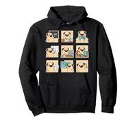 Funny Pug Teacher ABC Story Teach A Plus Class Pullover Hoodie