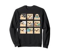 Funny Pug Teacher ABC Story Teach A Plus Class Sweatshirt