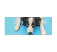 Funny Puppy Dog Border Collie Blue Background,Mouse Pad Large Desk Pad Computer Keyboard Mouse Mat With Non Slip Rubber Base 30 x 80 cm