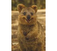 Funny Quokka Notebook: A Cute and Cheeky Writing Journal with 100 Ruled Pages for Notes Lists and Daily Smiles