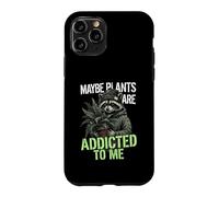 Funny Raccoon Meme Cute Maybe Plants Are Addicted To Me Case for iPhone 11 Pro