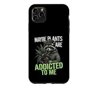 Funny Raccoon Meme Cute Maybe Plants Are Addicted To Me Case for iPhone 11 Pro Max