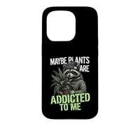 Funny Raccoon Meme Cute Maybe Plants Are Addicted To Me Case for iPhone 15 Pro