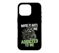 Funny Raccoon Meme Cute Maybe Plants Are Addicted To Me Case for iPhone 16 Pro