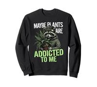 Funny Raccoon Meme Cute Maybe Plants Are Addicted To Me Sweatshirt