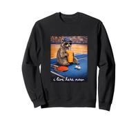 Funny Raccoon Table Tennis I Live Here Now Sweatshirt