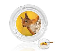 Funny Red Squirrel Funny Ash Tray Case Glass Ashtrays Holder For Cigarettes Cigar Smokers Decor For Tabletop Desktop Office Home