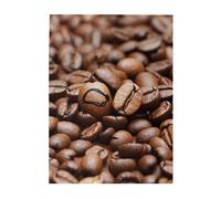 Funny Roasted Coffee Beans Printed Wooden Puzzle 500 Piece, Cute Puzzle Game in Plastic Box for Family Entertainment and Brain Training Gifts