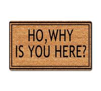 Funny Rubber Doormat Ho,Why is You Here Welcome Front Porch Decor Doormat for The Entrance Way Area Rug with Non Slip Outdoor Doormat 16x24 Inch
