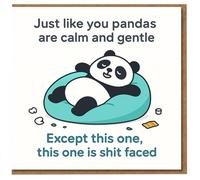Funny Rude Birthday Card - Drunk Panda on Bean Bag - 'Just like you pandas are calm and gentle. Except this one, this one is shit faced' - Cheeky Banter for Friends and Mates