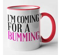 Funny Rude Gay Mug - I'm Coming for A Bumming (Red)