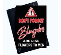 Funny Rude Valentines Day Greeting Cards for Her Blowjobs Naughty Cheeky PC889