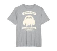 Funny Sarcasm Cat Meme Your Little Ray of Sarcastic Sunshine T-Shirt, Men's Big and Tall, Heather Grey, 6X Tall