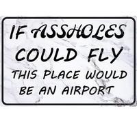Funny Sarcastic Bar Metal Signs Garage Tin Sign Man Cave Signs Humor Office Cubicle Wall Decor If Assholes Could Fly This Place Would Be An Airport Home Decorations 12" X 8"