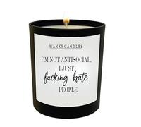 Funny Sarcastic Introvert Candle, I'm not Anti Social