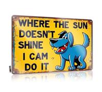 Funny Sarcastic Metal Tin Sign Bathroom Where The Sun Doesn'T Shine, I Can Do It. Tin Sign Funny Outdoor Signs Outdoor Signs And Decor(20X30CM)