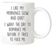 Funny Sarcastic Mug, I Like My Mornings Slow and Quiet I Want The Day to Romance Me Before It Tries to Fuck Me, Unfiltered Humor Gift, 11Oz Novelty Coffee Mug/Drinking Cup